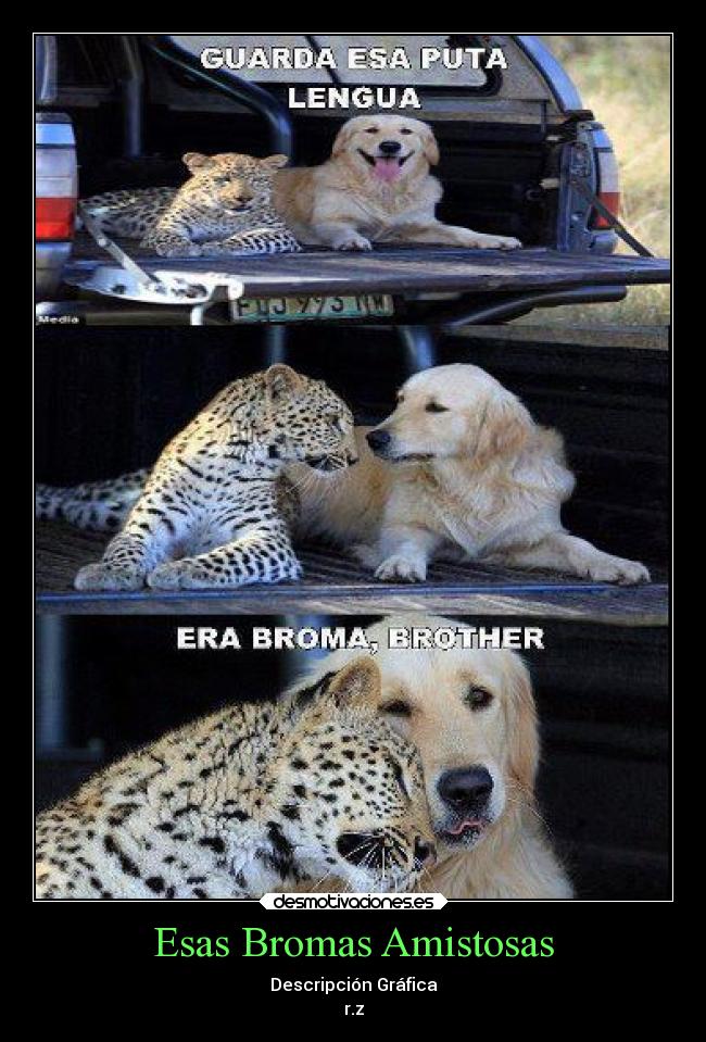 Esas Bromas Amistosas - Descripción Gráfica
r.z