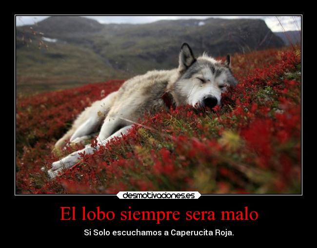 carteles animales frases madurar motivaciones mundo naturaleza recuerdos sentimientos vida verano suenos desmotivaciones