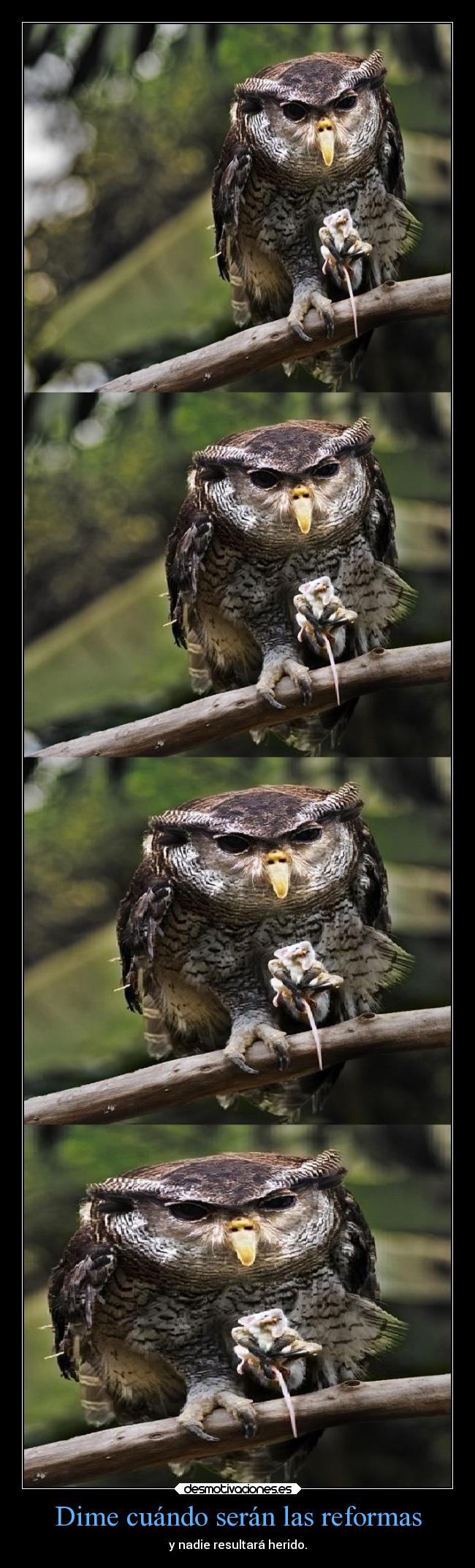 Dime cuándo serán las reformas - 