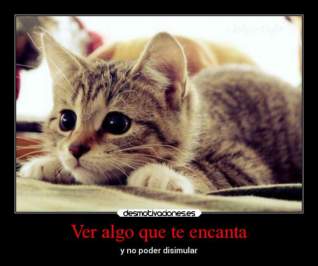 Ver algo que te encanta - 