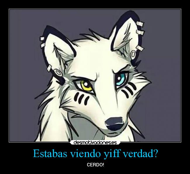 Estabas viendo yiff verdad? - CERDO!