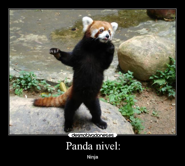 Panda nivel: - Ninja