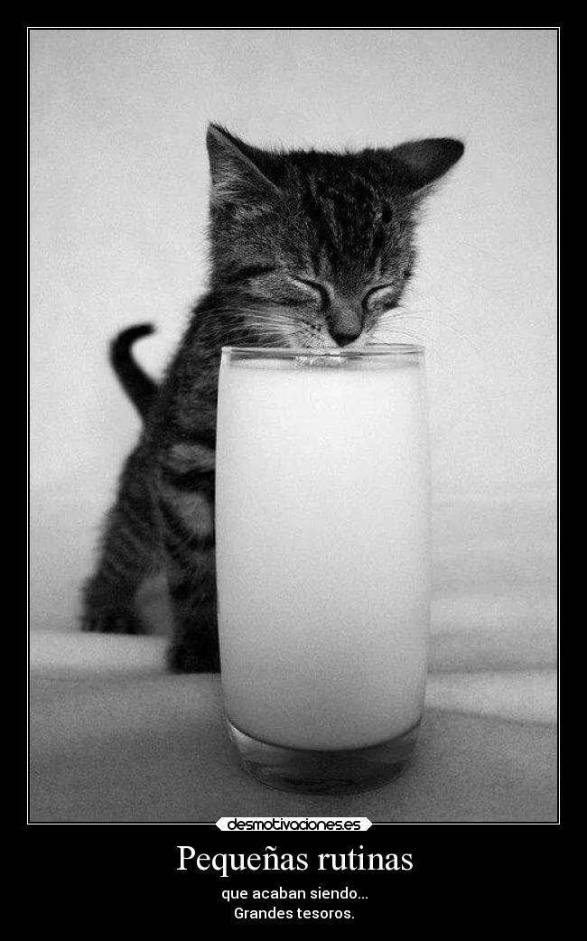 Pequeñas rutinas - 