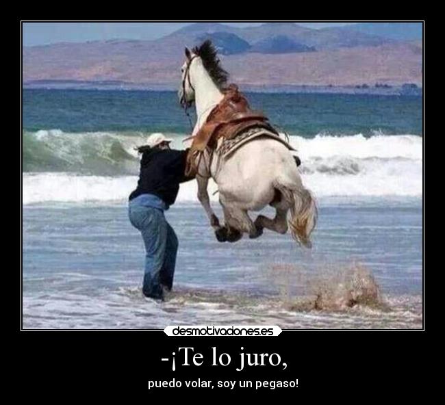 -¡Te lo juro, - puedo volar, soy un pegaso!
