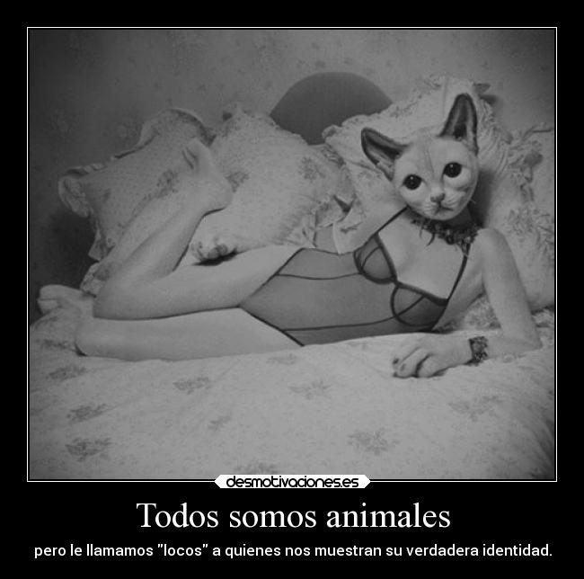 Todos somos animales - pero le llamamos locos a quienes nos muestran su verdadera identidad.