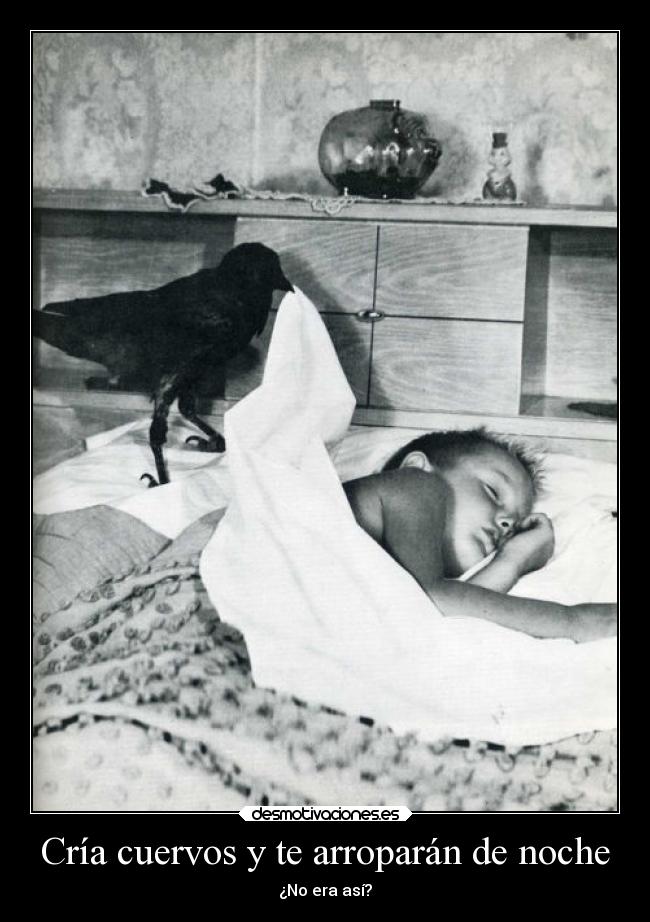 Cría cuervos y te arroparán de noche - ¿No era así?