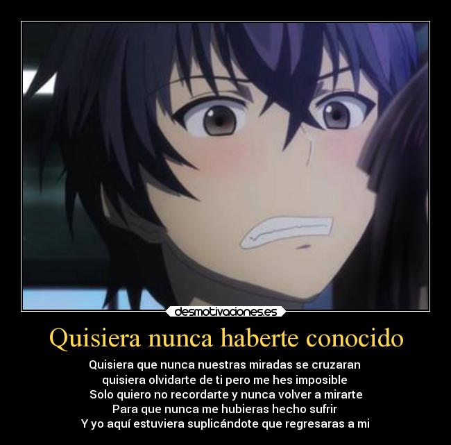 Quisiera nunca haberte conocido -