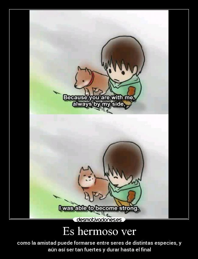 Es hermoso ver - como la amistad puede formarse entre seres de distintas especies, y
aún así ser tan fuertes y durar hasta el final