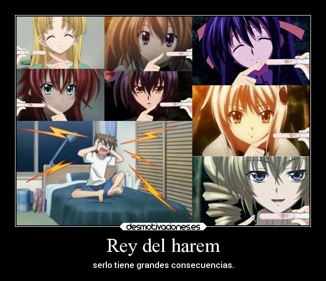 Rey del harem - 