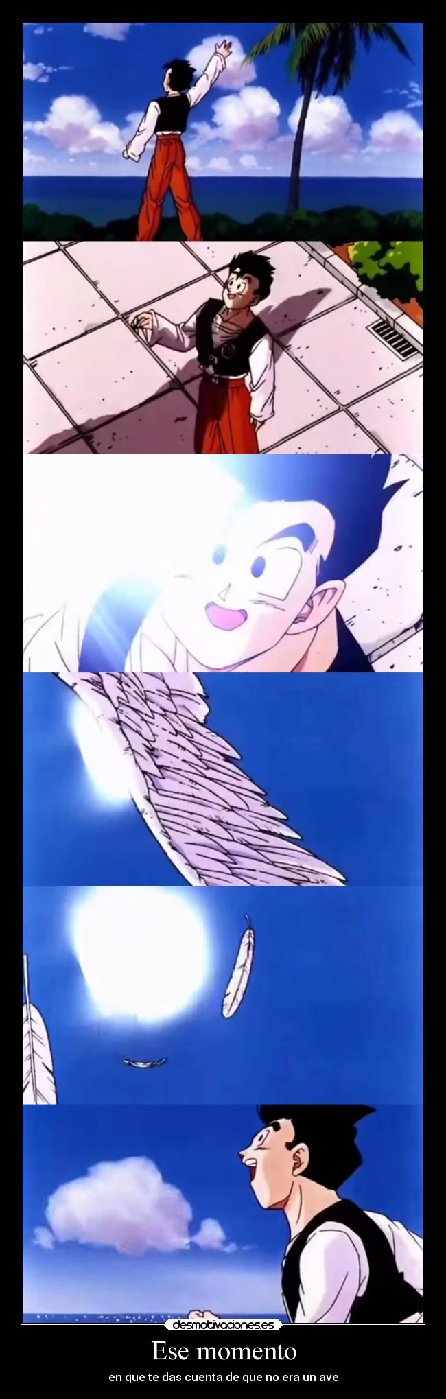 Ese momento - en que te das cuenta de que no era un ave