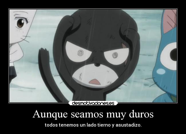 Aunque seamos muy duros -