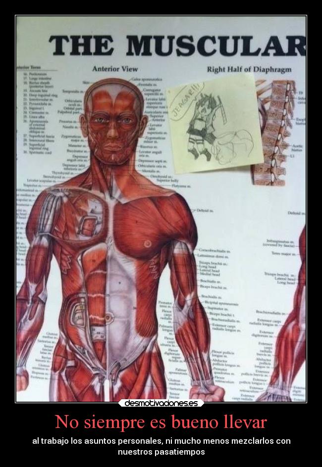 No siempre es bueno llevar -