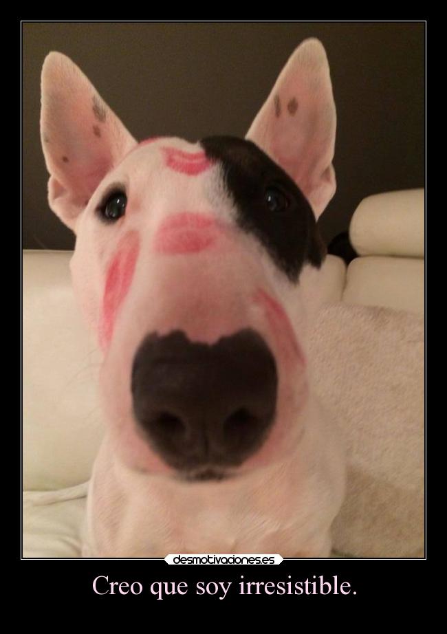 Creo que soy irresistible. - 