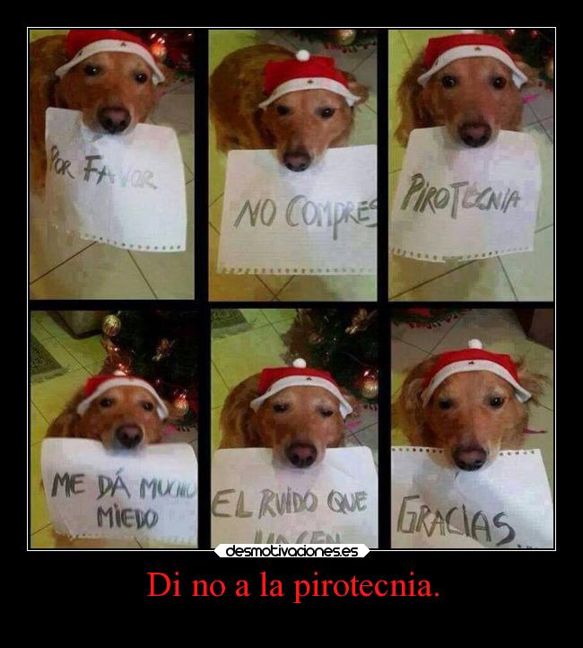 carteles ayuda alma navidad fiesta animales pirotecnia perros laurasimpson11 desmotivaciones