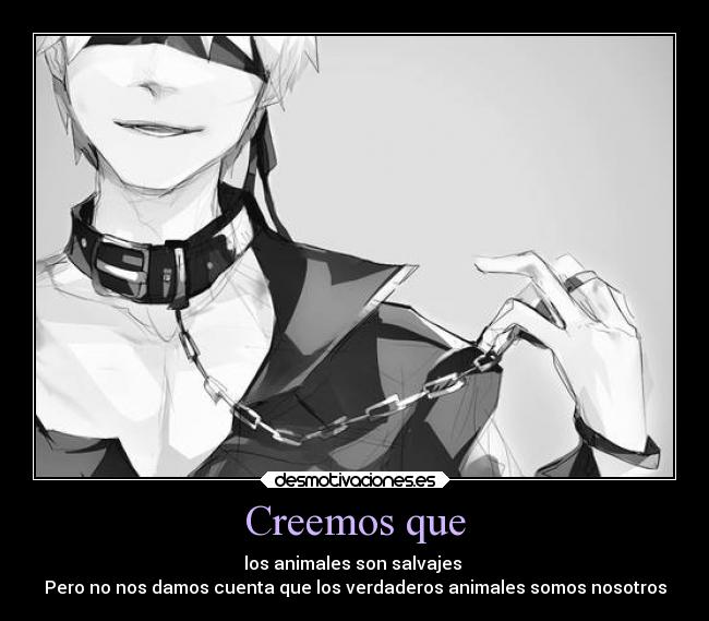 Creemos que - los animales son salvajes
Pero no nos damos cuenta que los verdaderos animales somos nosotros