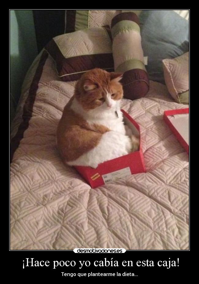 carteles besos desmotivaciones