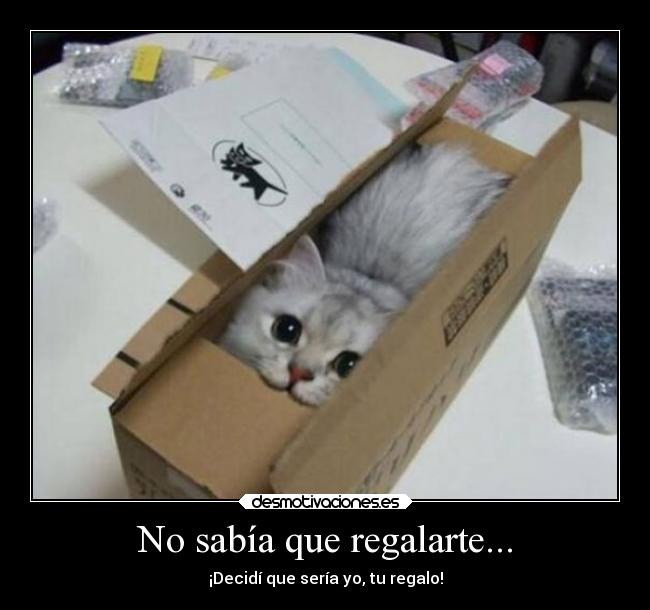 No sabía que regalarte... - ¡Decidí que sería yo, tu regalo!