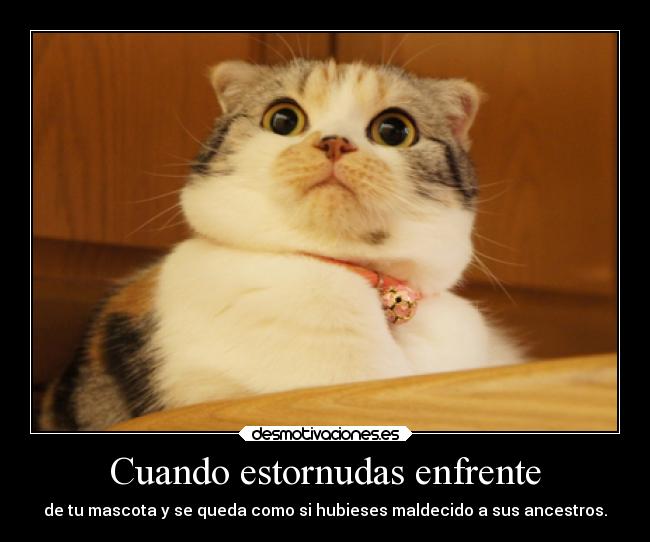 Cuando estornudas enfrente -