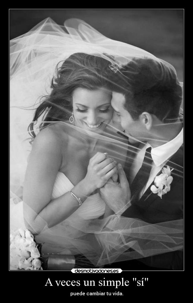 carteles celos desmotivaciones