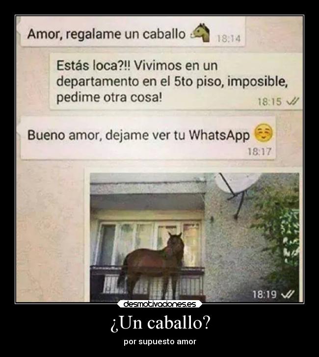 ¿Un caballo? - por supuesto amor