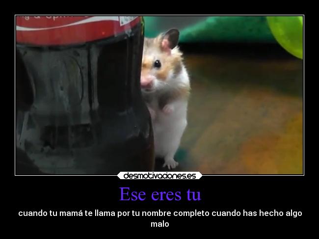 Ese eres tu - 