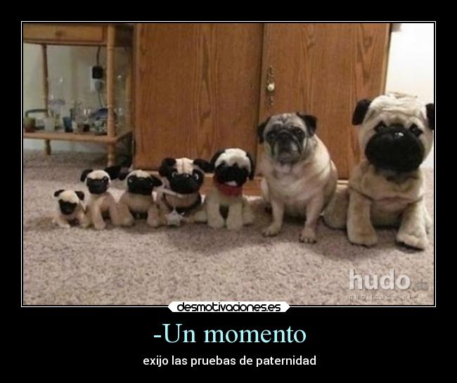 -Un momento - exijo las pruebas de paternidad