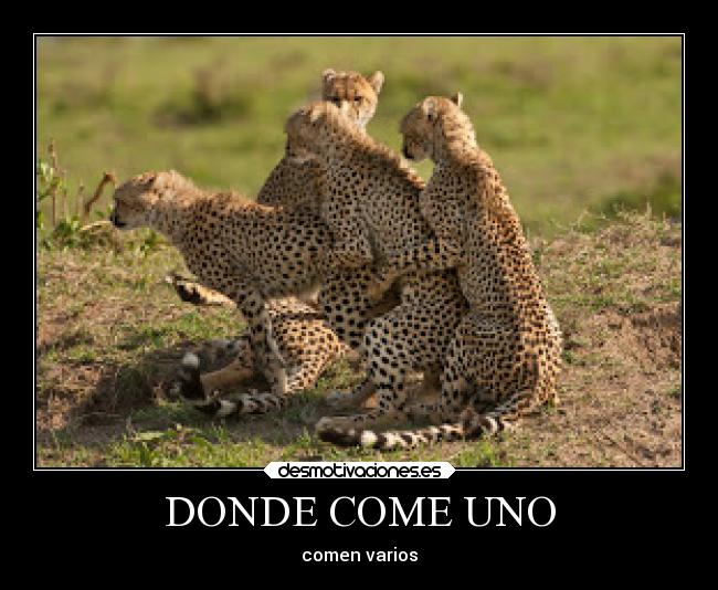 DONDE COME UNO - comen varios
