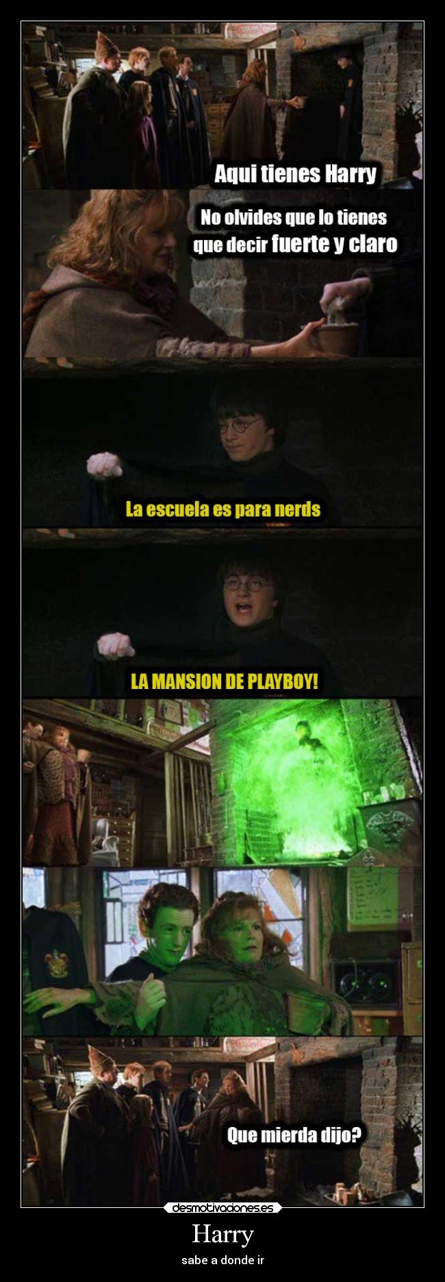 Harry - sabe a donde ir