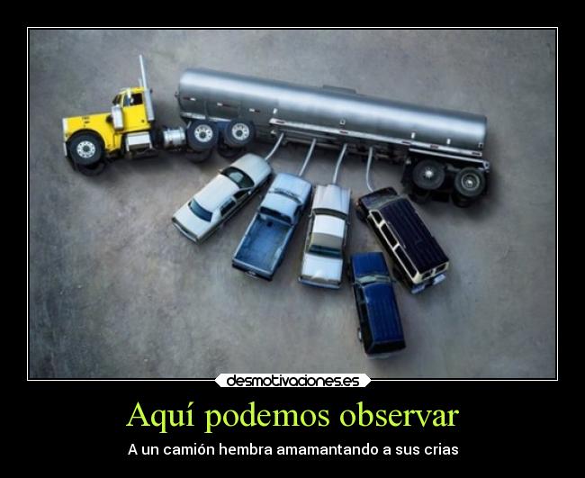 carteles chiste humor camion crias animal heavyrock666 desmotivaciones