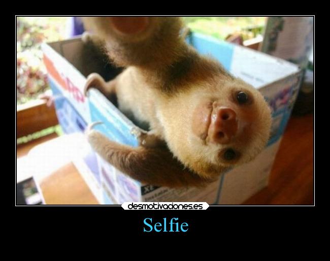 Selfie -