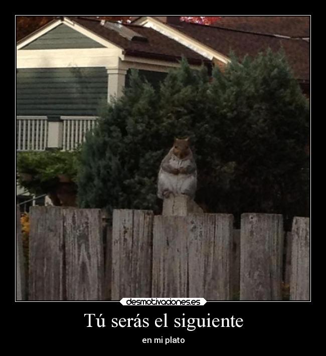 Tú serás el siguiente - en mi plato