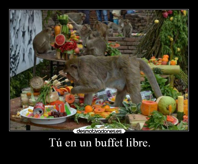 Tú en un buffet libre. -