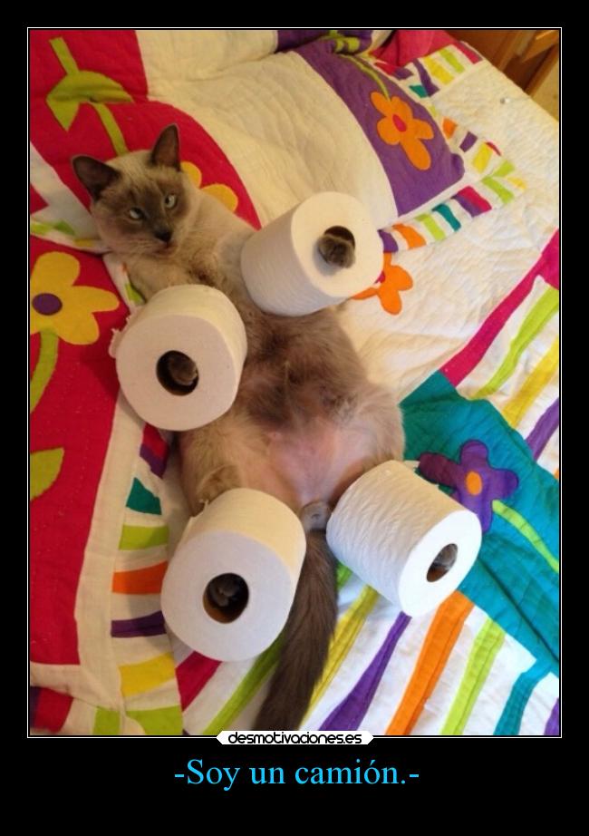 carteles confianza desmotivaciones