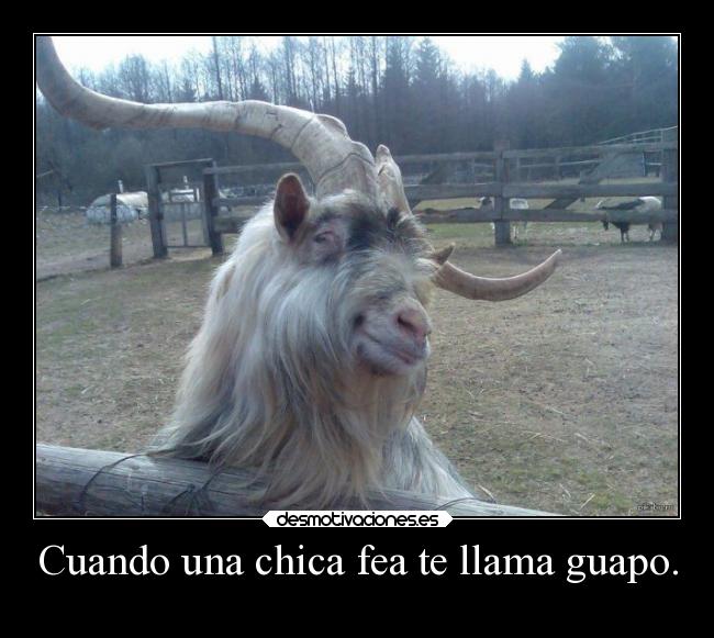 Cuando una chica fea te llama guapo. -