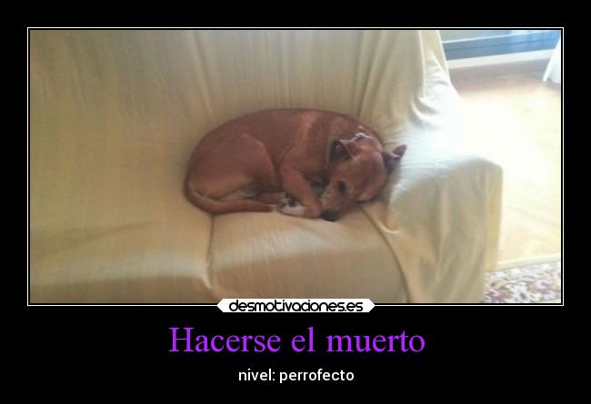 carteles corazon excalibur dep werlest inspiro desmotivaciones