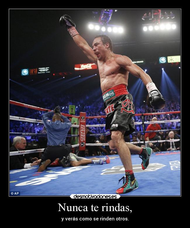 carteles deportes box pacquiao marquez knockout nunca rindas otros veras que rendiran golpes dante88 desmotivaciones