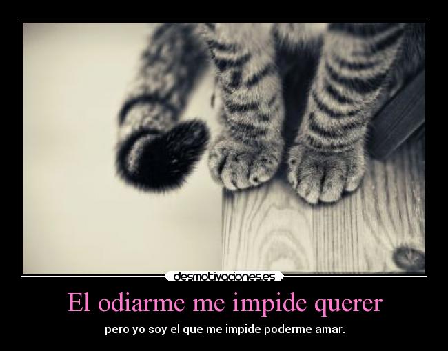 El odiarme me impide querer - 