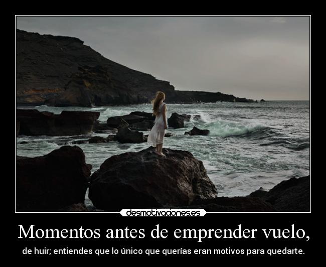 carteles desamor desmotivaciones dolor vida motivos respuestas personas productodemipropiamente desmotivaciones