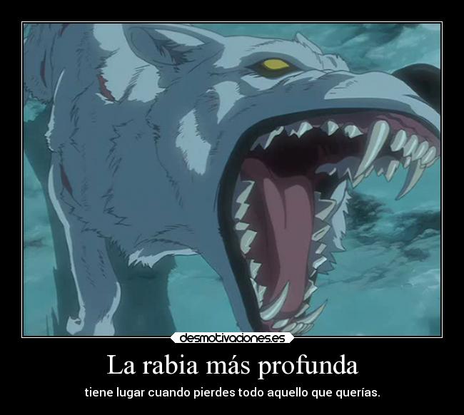 carteles desamor enemigo anime vida wolf rain kiba theinmortals mortals raptorhunters proteger desmotivaciones