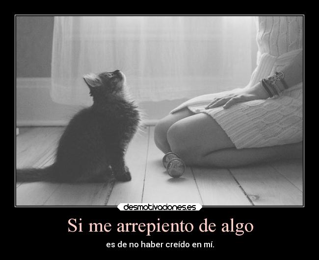 carteles desmotivaciones debescreerenti quierounburrook desmotivaciones