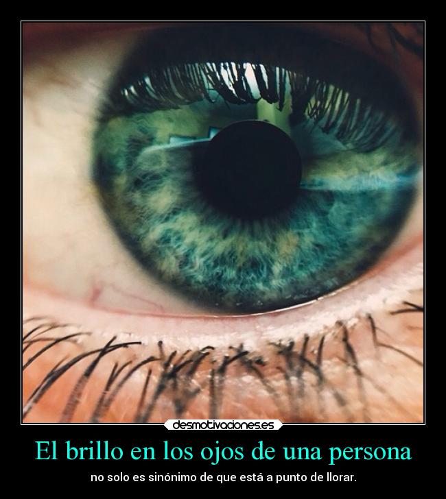 El brillo en los ojos de una persona -