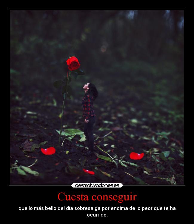 Cuesta conseguir - que lo más bello del día sobresalga por encima de lo peor que te ha
ocurrido.