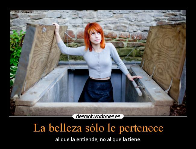 La belleza sólo le pertenece - al que la entiende, no al que la tiene.
