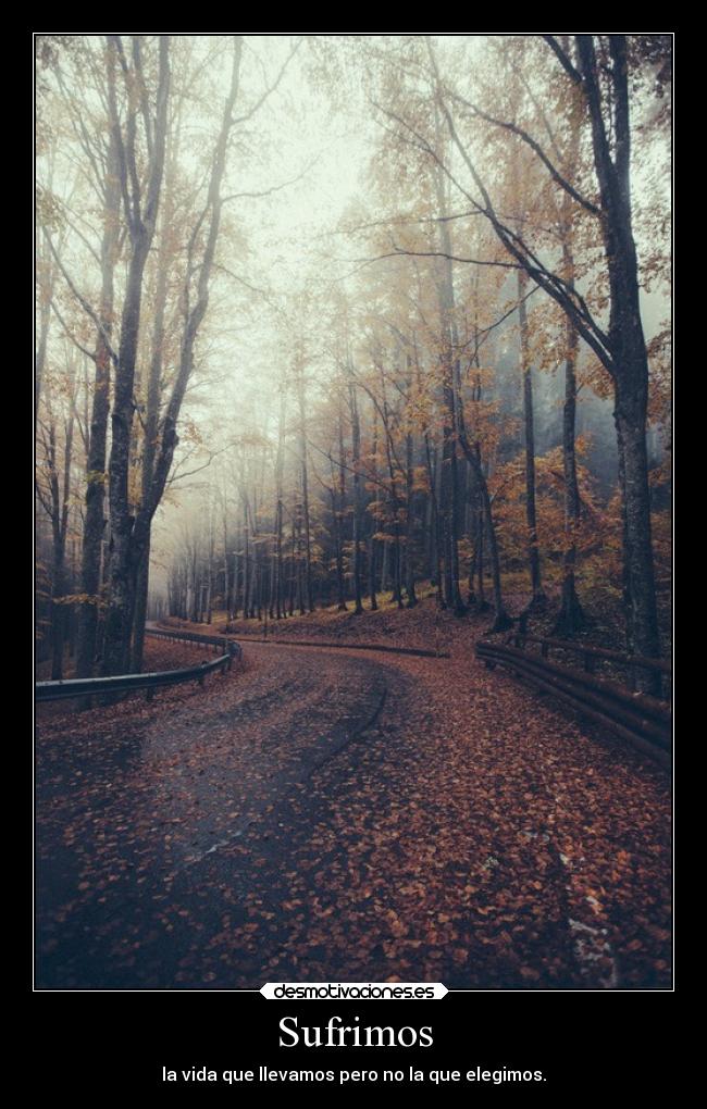 Sufrimos - 