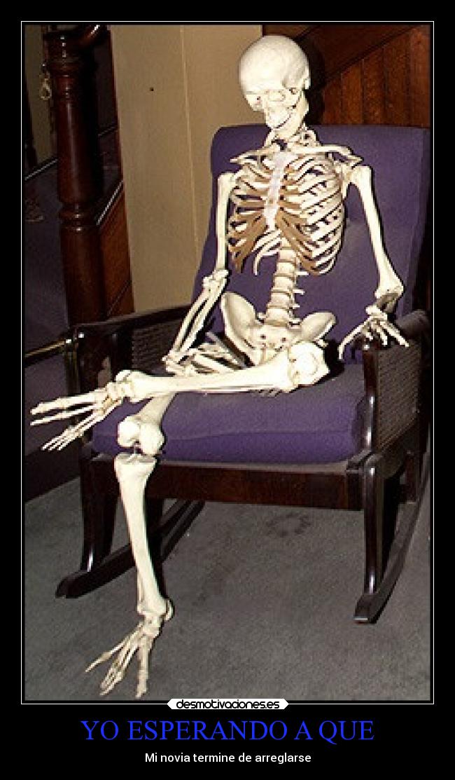 carteles desmotivaciones novia esperar flojeramaxima desmoanonimo desmotivaciones