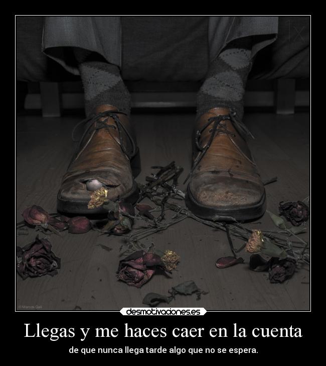 carteles destino sarabuho mieldalaabeja hijosdelagranprogenitora desmotivaciones