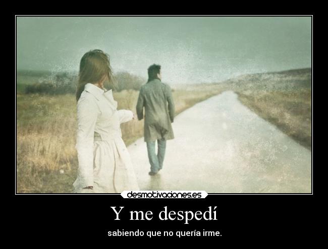 Y me despedí - sabiendo que no quería irme.
