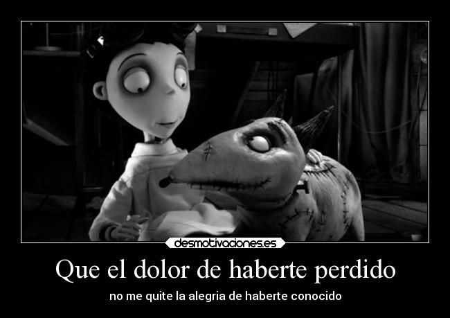 Que el dolor de haberte perdido -