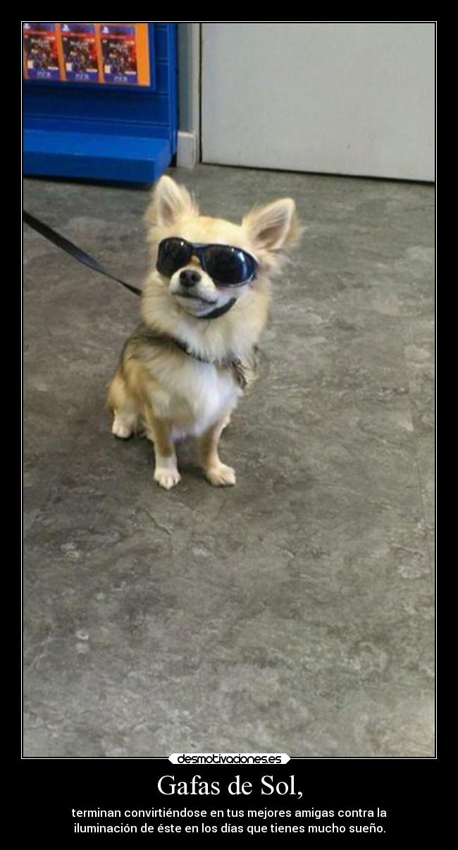 Gafas de Sol, - terminan convirtiéndose en tus mejores amigas contra la
iluminación de éste en los días que tienes mucho sueño.