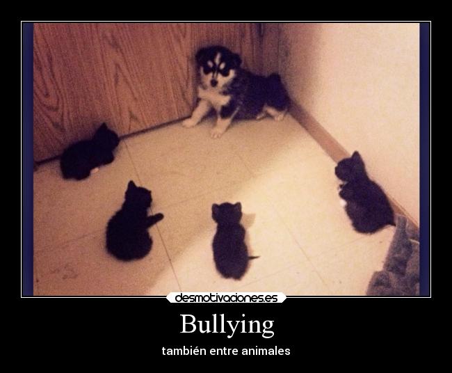Bullying - 